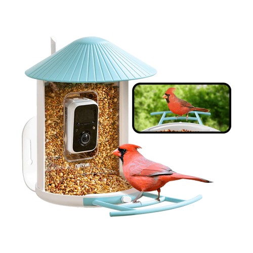 Умная кормушка для птиц с солнечной батареей. NETVUE Birdfy